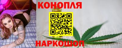 мяу мяу мука Будённовск