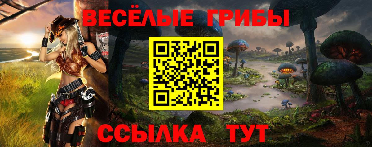 Галлюциногенные грибы GOLDEN TEACHER Выборг