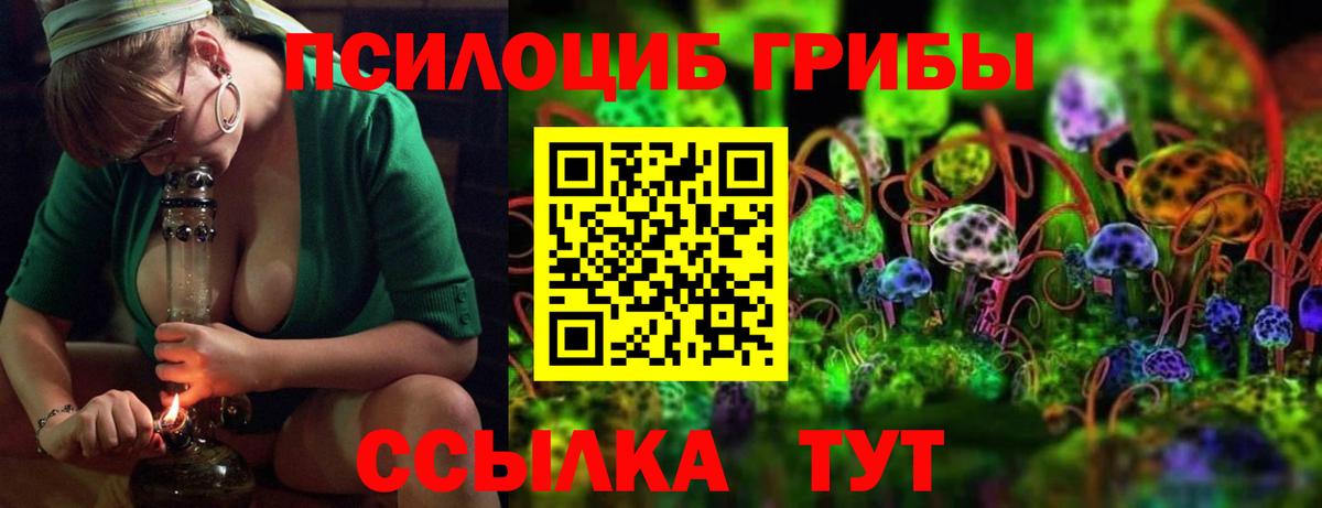 Псилоцибиновые грибы MAGIC MUSHROOMS  Галлюциногенные грибы Magic Shrooms  Выборг  Вход с VPN 